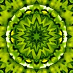 santa-maria-acuitlapilco